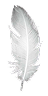 Musky